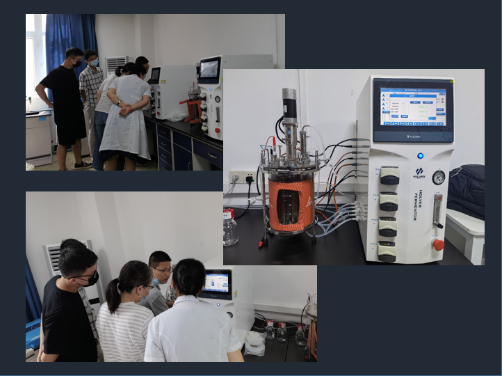 EU210实验室发酵罐