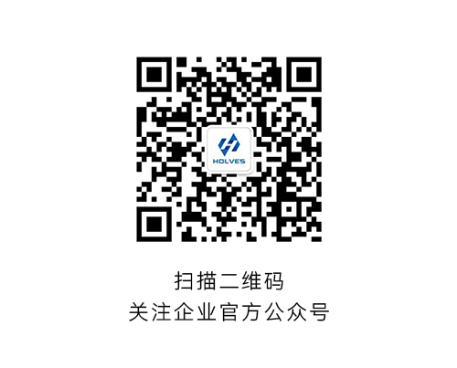 jinnianhui官网HOLVES