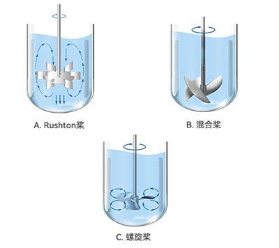 jinnianhui官网发酵罐不同类型桨叶